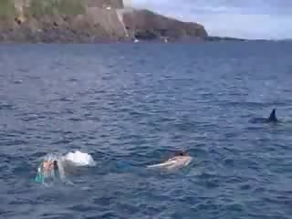 सेक्स नीचे पानी वीडियो