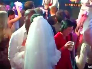 Superb horny brides suck big cocks in public